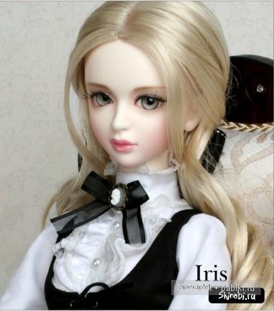 BJD BJD