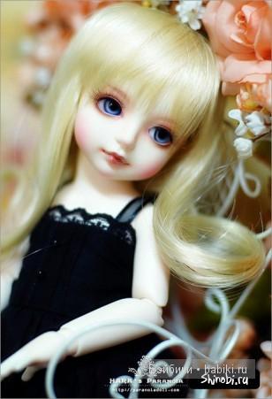 BJD BJD