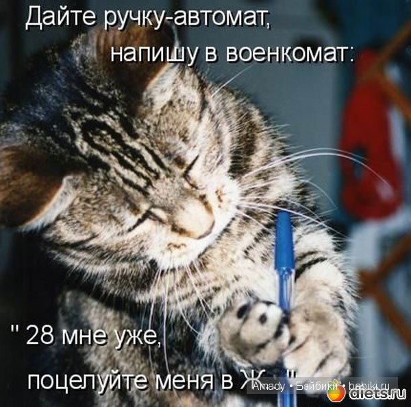 http://babiki.ru/uploads/images/01/71/50/2015/02/01/1c9f00.jpg