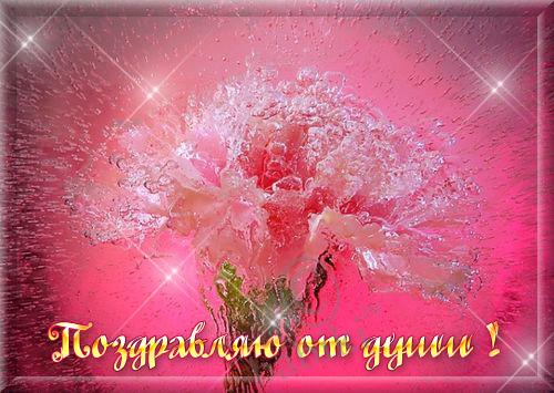 http://babiki.ru/uploads/images/9/5/9/1/2464/10949105f7.jpg